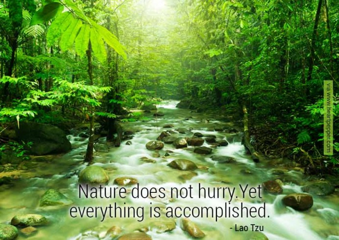 Nature does not hurry